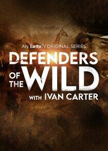 Defenders of the Wild Defenders of the Wild