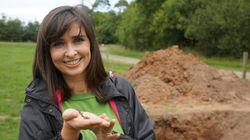 Soil Soil