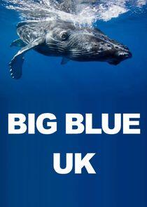 Big Blue UK Big Blue UK