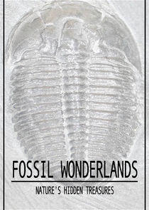 Fossil Wonderlands: Nature's Hidden Treasures Fossil Wonderlands: Nature's Hidden Treasures