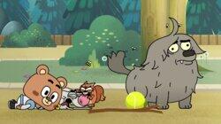 Dog Days Dog Days