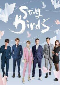Stray Birds Stray Birds