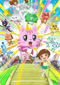 Omakase! Miracle Cat-dan Omakase! Miracle Cat-dan