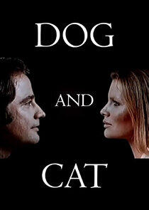 Dog and Cat Dog and Cat