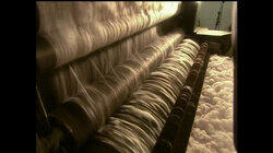 Carpets, Drinking Water, Laser Eye Surgery, Acoustic Guitars Carpets, Drinking Water, Laser Eye Surgery, Acoustic Guitars