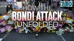 How the Bondi Attack Unfolded How the Bondi Attack Unfolded