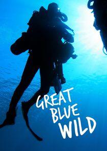 Great Blue Wild Great Blue Wild
