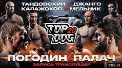 Чемпионские бои Чемпионские бои