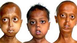 The 80-Year-Old Children The 80-Year-Old Children