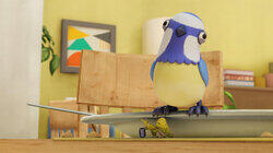 Day of the Bird Day of the Bird