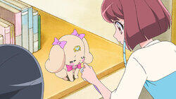 Quit or not quit? What's bothering Hinata? Quit or not quit? What's bothering Hinata?