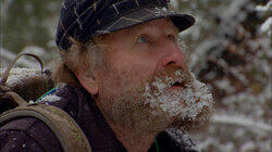 Into the Wild Into the Wild