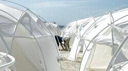 The Fyre Festival Con The Fyre Festival Con
