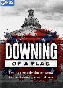 Downing of a Flag Downing of a Flag