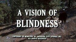 A Vision of Blindness A Vision of Blindness