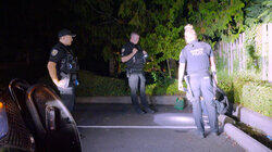 She's in the Washing Machine She's in the Washing Machine