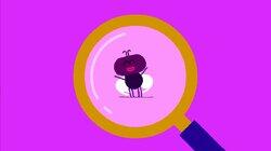 The Fly