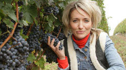 Revisited: Cheap Red Wine, Gluten, Chewy Sweets Revisited: Cheap Red Wine, Gluten, Chewy Sweets