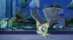 Surprise! Paw-Zombies! Surprise! Paw-Zombies!