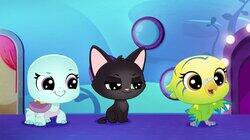 So Trip Thinks He Can Dance? So Trip Thinks He Can Dance?