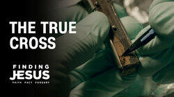 The True Cross The True Cross