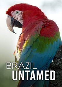 Brazil Untamed Brazil Untamed