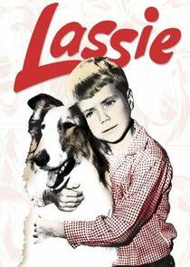 Lassie Lassie
