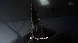 Have You Ever Seen a Black Ghost?