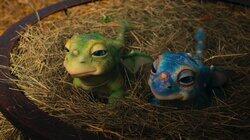 Dragon Babies Dragon Babies