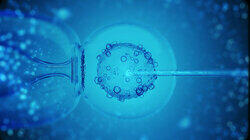 IVF IVF