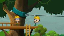 Swinging In The Rainforest! Swinging In The Rainforest!