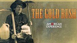 The Gold Rush The Gold Rush