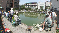 Catching Goldfish at a Fishing Pond in Tokyo Catching Goldfish at a Fishing Pond in Tokyo