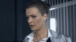 Последнее дело ФЭС Последнее дело ФЭС