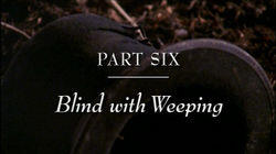 Abraham and Mary Lincoln: A House Divided - Blind with Weeping Abraham and Mary Lincoln: A House Divided - Blind with Weeping