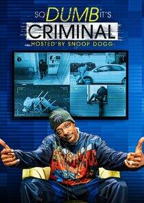 So Dumb It's Criminal So Dumb It's Criminal