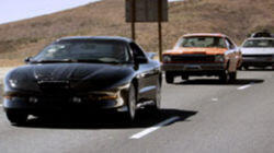 Hollywood Cars Hollywood Cars