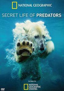 Secret Life of Predators Secret Life of Predators