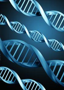 DNA DNA
