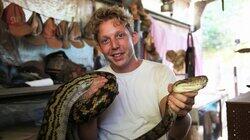 The Most Venomous Snakes in the World The Most Venomous Snakes in the World