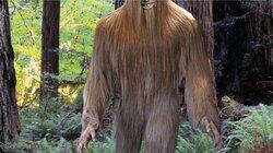 Bigfoot Revealed Bigfoot Revealed