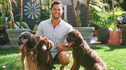 Shepherd vs. Newfoundland Shepherd vs. Newfoundland