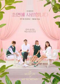 The Secret Life of My Secretary - Season 1 The Secret Life of My Secretary - Season 1