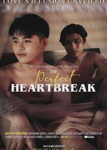 The Perfect Heartbreak The Perfect Heartbreak