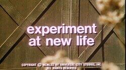 Experiment at New Life Experiment at New Life