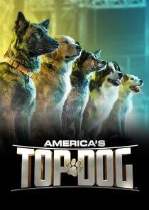America's Top Dog America's Top Dog