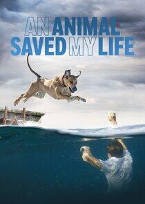 An Animal Saved My Life An Animal Saved My Life