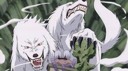 Roar and Howl! The Ultimate Tag Team