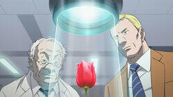 Episode 6 Episode 6