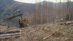 Forestry Management Forestry Management